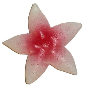 RTD-1770 : Plastic Starfish Decoration at SailorHats.net