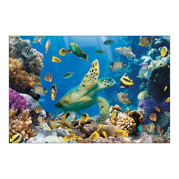 Undersea Ocean Backdrop Banner