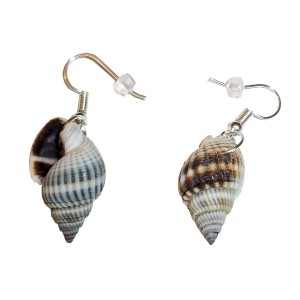 RTD-3998 : Pair of Spiral Shell Earrings at SailorHats.net